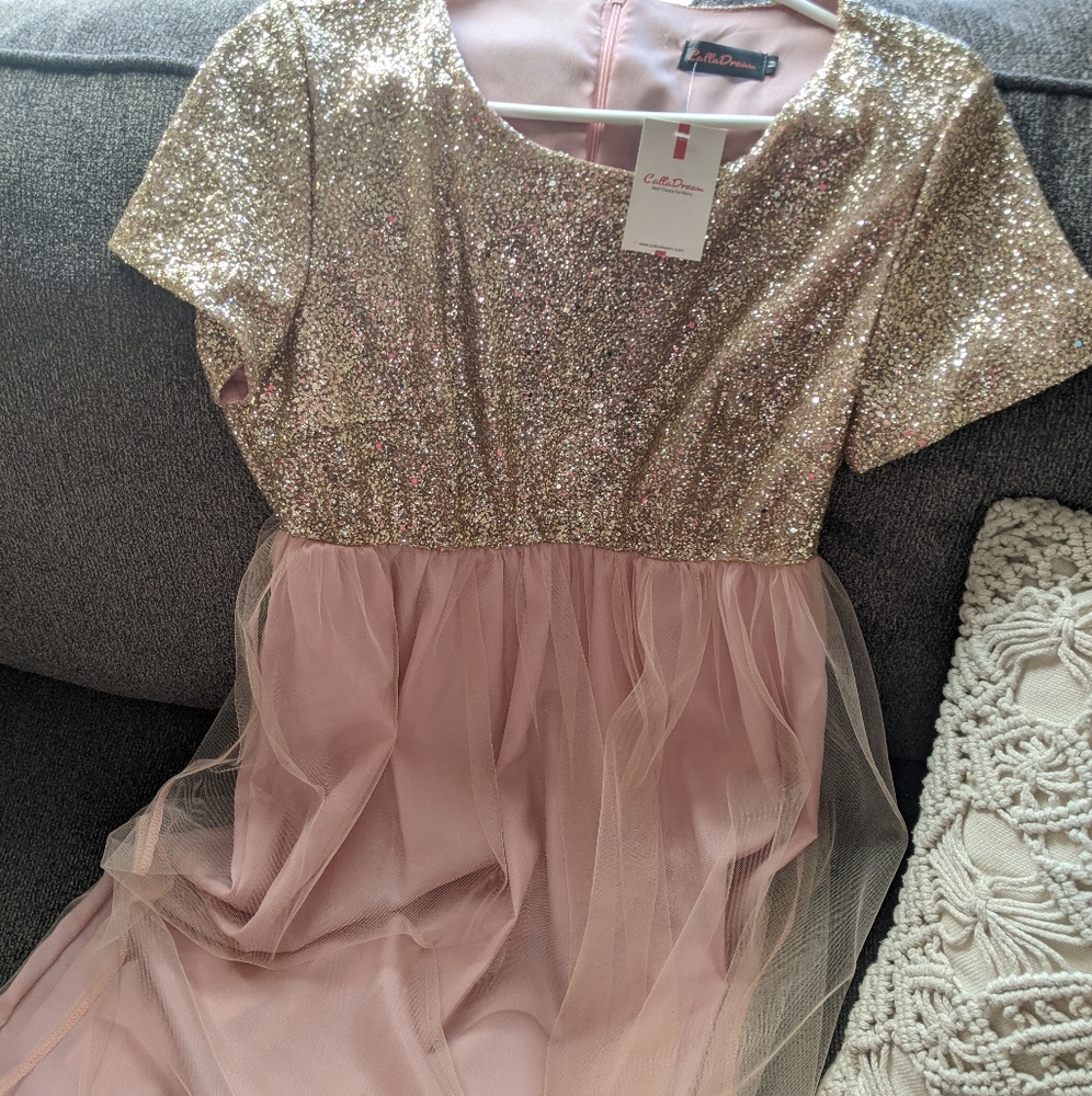 Maternity Tulle Dress